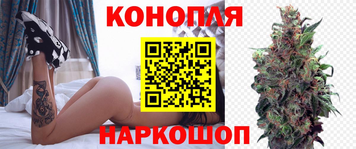 Канабис White Widow  Бошки марихуана тримм  Марихуана план  Вход с VPN  Видное 